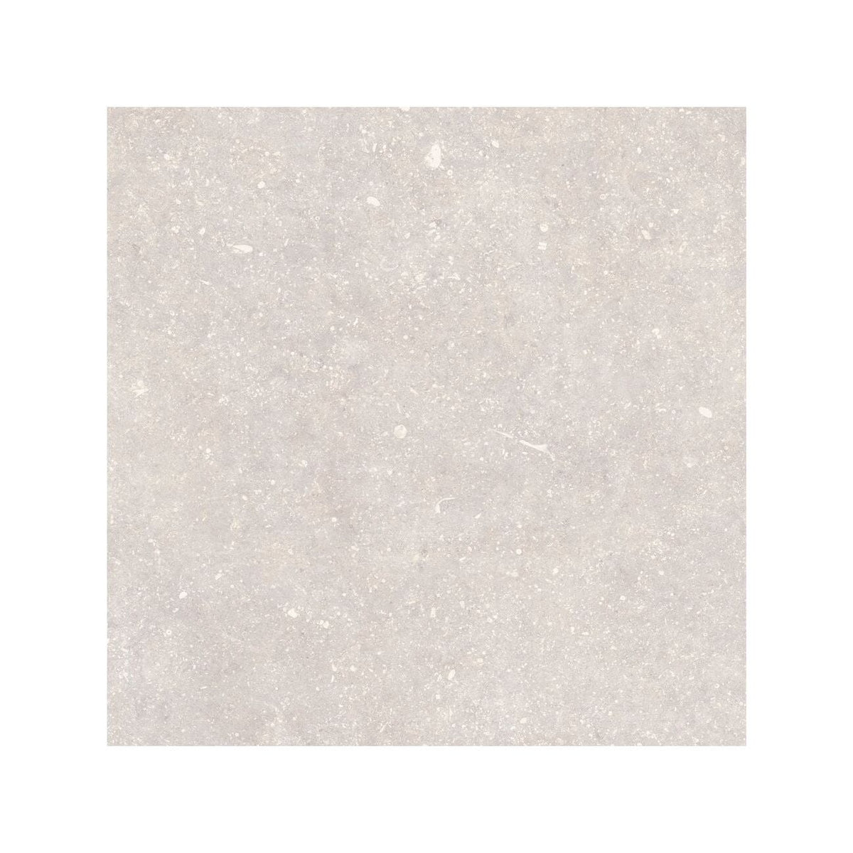 Frame Chalk White porcelain tile 60 x 60cm surface detail
