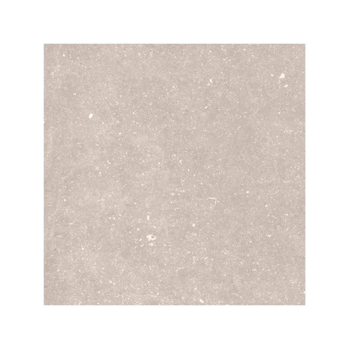Frame Dune Beige porcelain tile 60 x 60cm face