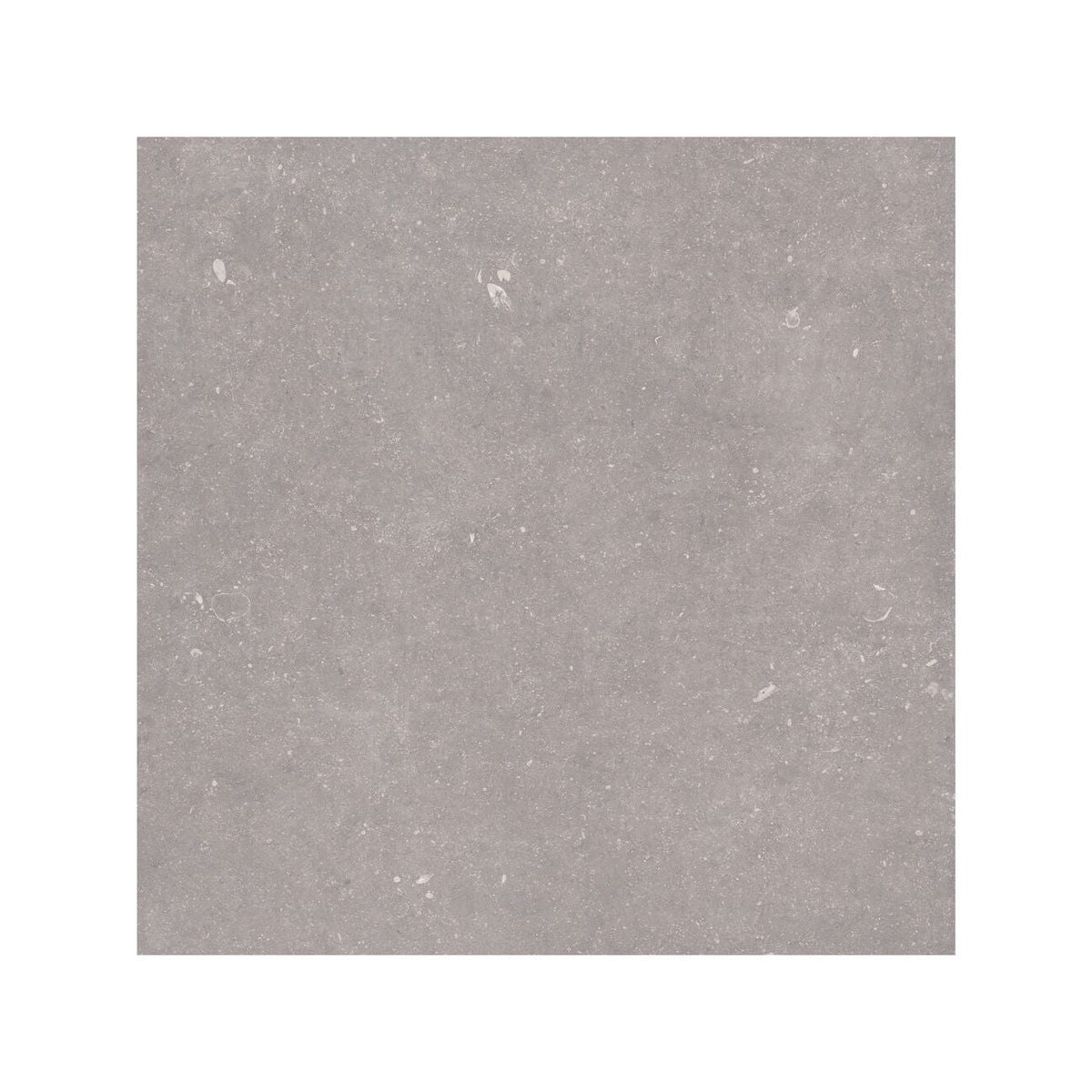 Frame Moor Taupe porcelain tile 100 x 100cm texture