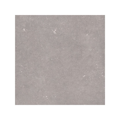 Frame Moor Taupe porcelain tile 100 x 100cm texture