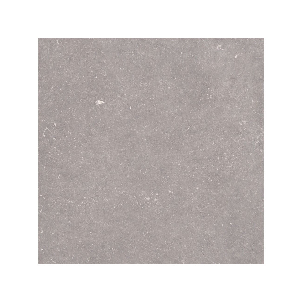 Frame Moor Taupe porcelain tile 100 x 100cm detail