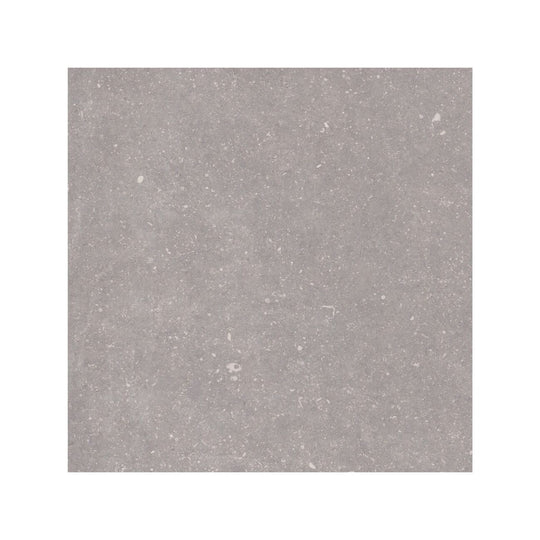 Frame Moor Taupe porcelain tile 60 x 60cm face