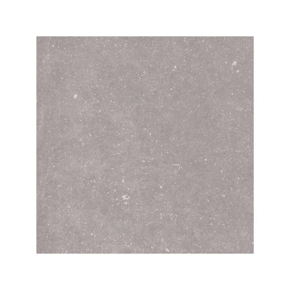 Frame Moor Taupe porcelain tile 60 x 60cm face