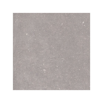 Frame Moor Taupe porcelain tile 60 x 60cm face