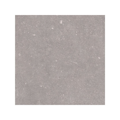 Frame Moor Taupe porcelain tile 60 x 60cm surface detail