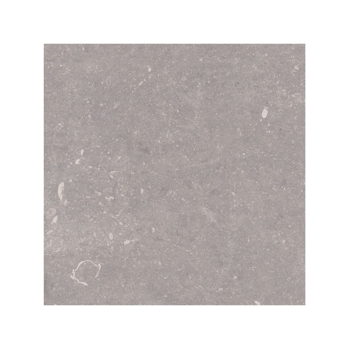 Frame Moor Taupe porcelain tile 60 x 60cm texture