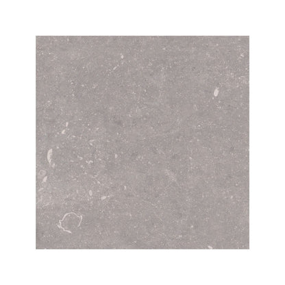 Frame Moor Taupe porcelain tile 60 x 60cm texture