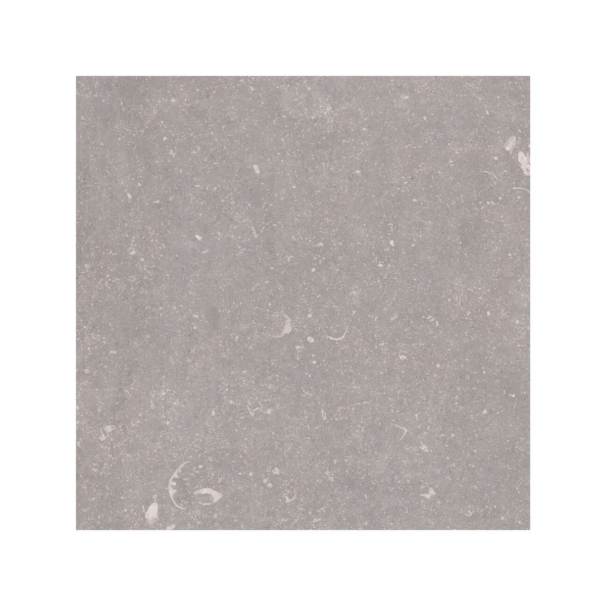Frame Moor Taupe porcelain tile 60 x 60cm detail