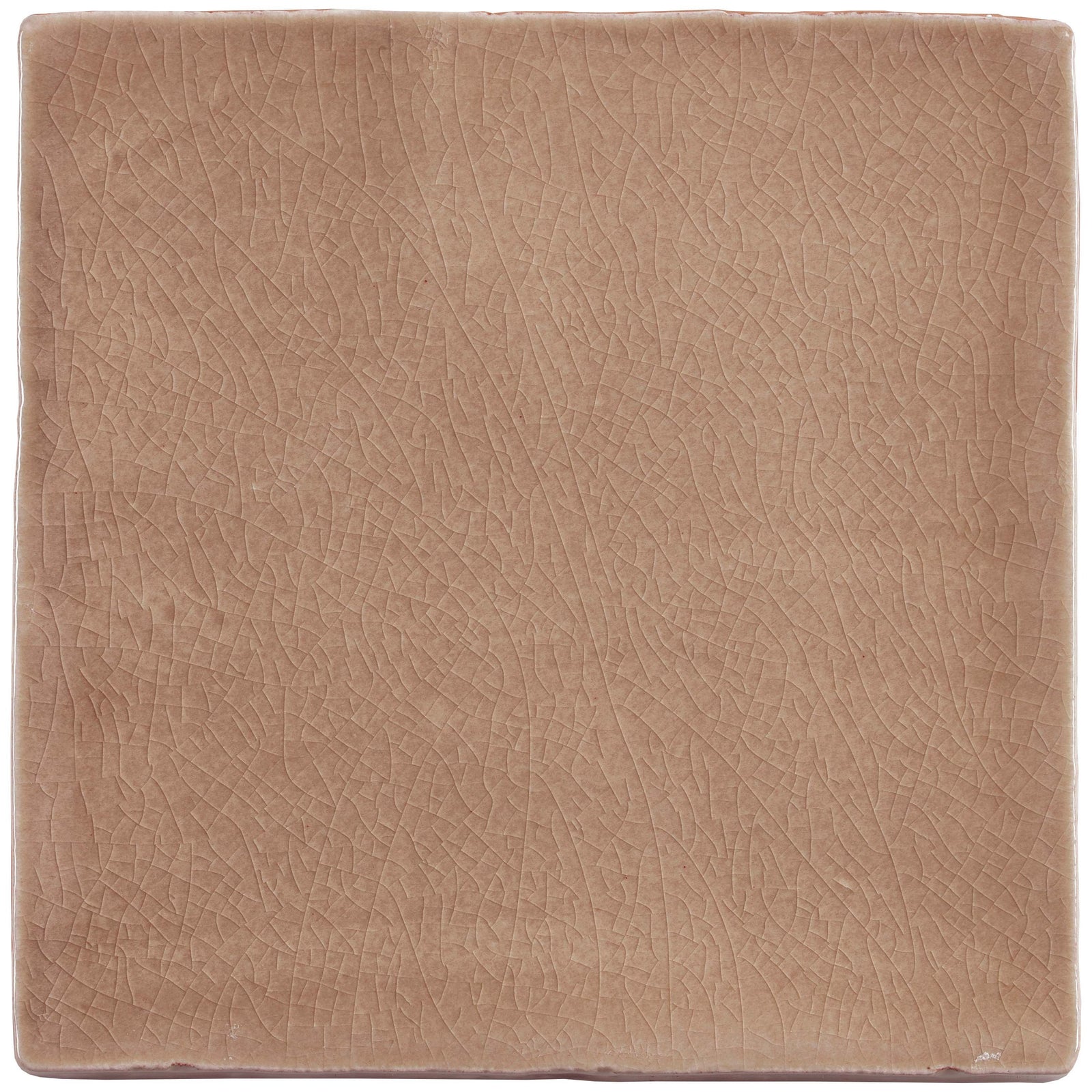 Arcadian Birch Field Tile 130x130mm – detail view 4