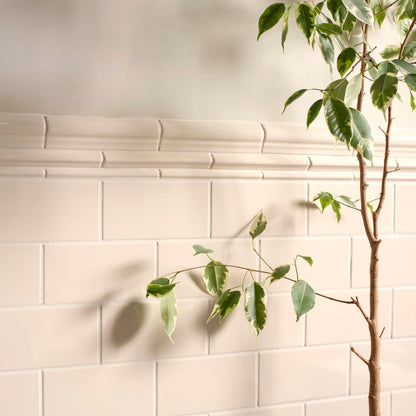 Ivory Albert Moulding Ceramic Wall Tile 152x40mm