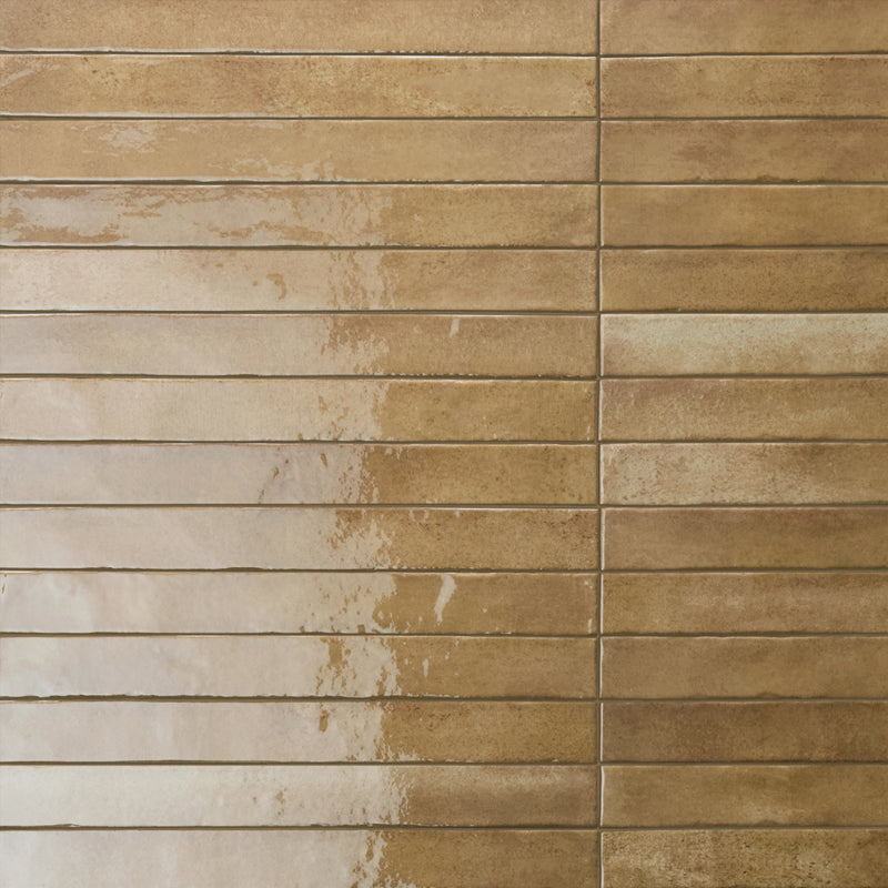 Arta Dijon Polished 5 x 45cm Wall Tile