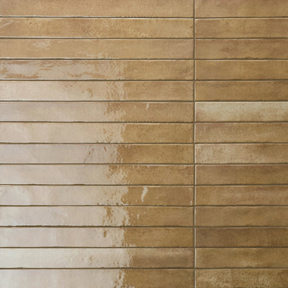 Arta Dijon Polished 5 x 45cm Wall Tile