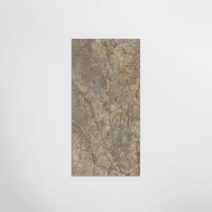 Calacatta Dorado Honed 60 x 120cm Wall & Floor Tile