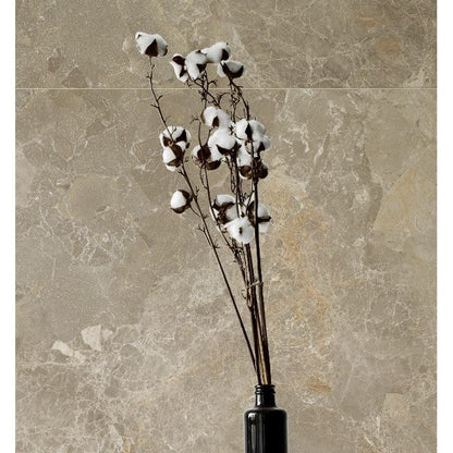 Cosmo Chocolate Matt 120 x 60cm Wall & Floor Tile