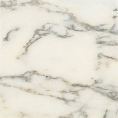 DC Amore Paonazzo Matt 20 x 20cm Wall & Floor Tile