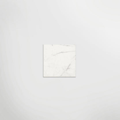 DC Amore Statuario Matt 20 x 20cm Wall & Floor Tile