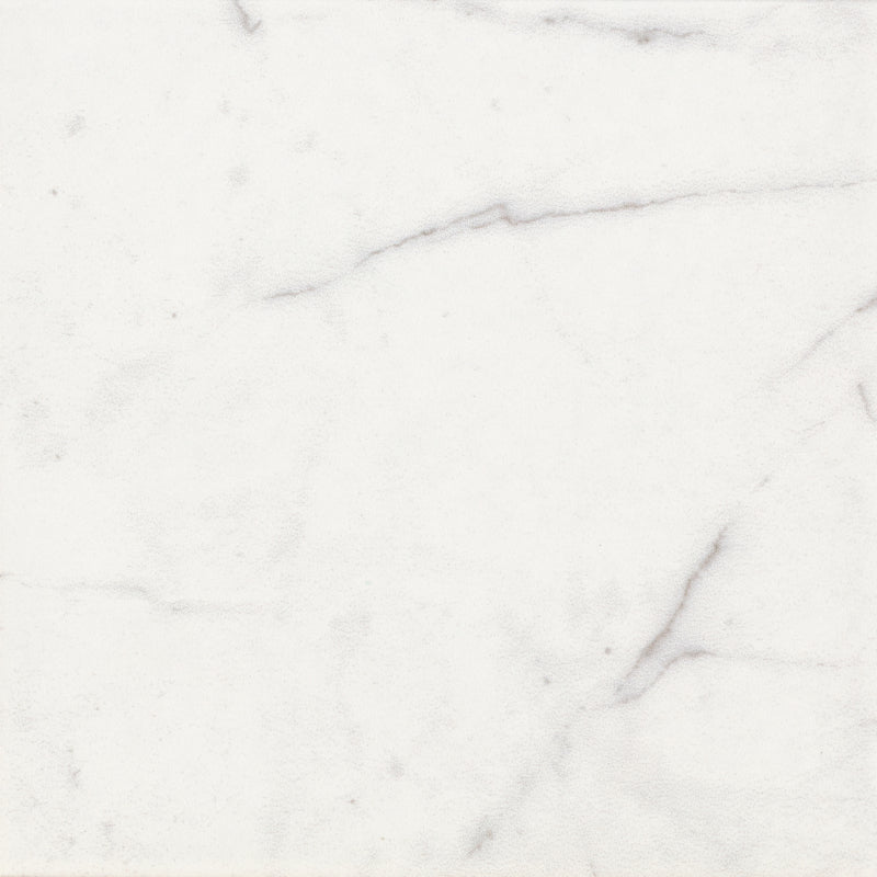 DC Amore Statuario Matt 20 x 20cm Wall & Floor Tile
