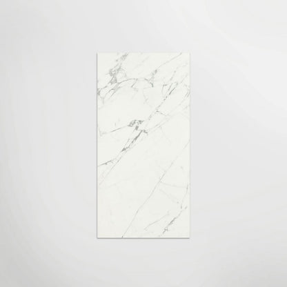 Massa Statuario Matt 120 x 60cm Wall & Floor Tile