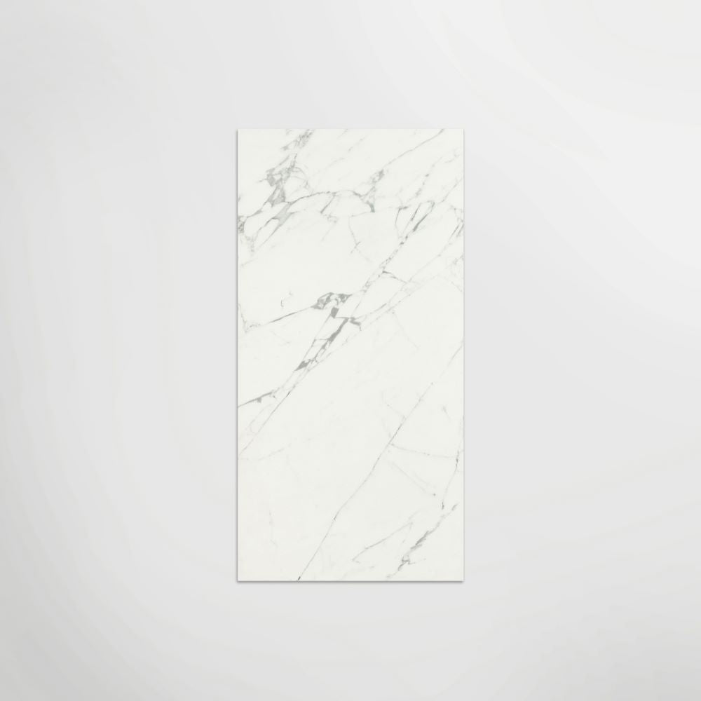 Massa Statuario Polished 120 x 60cm Wall & Floor Tile