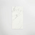 Massa Statuario Polished 120 x 60cm Wall & Floor Tile
