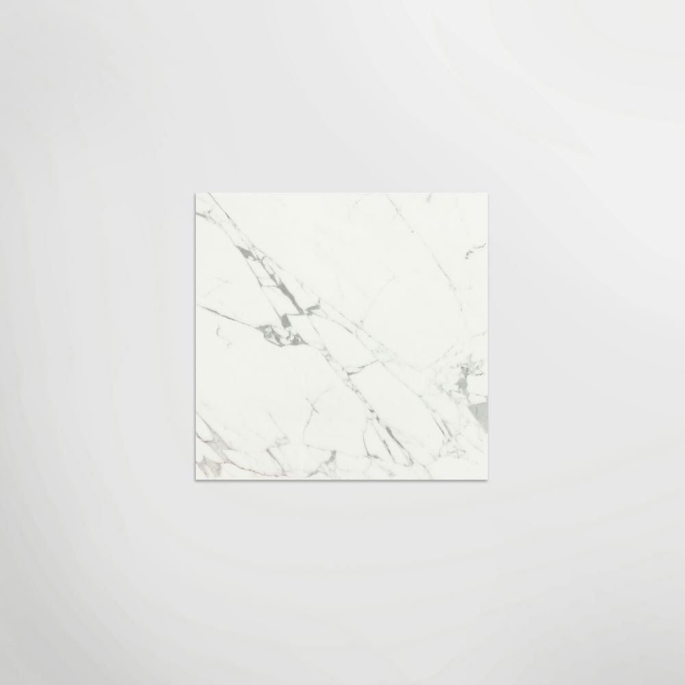 Massa Statuario Matt 60 x 60cm Wall & Floor Tile