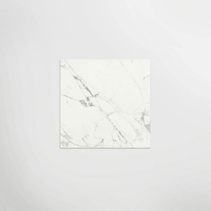Massa Statuario Matt 120 x 60cm Wall & Floor Tile