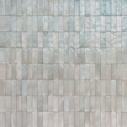 Qualis Rice Grey Polished 15 x 5cm Wall & Floor Tile