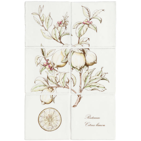Lemon Decorative 6-Tile Set On Cotton