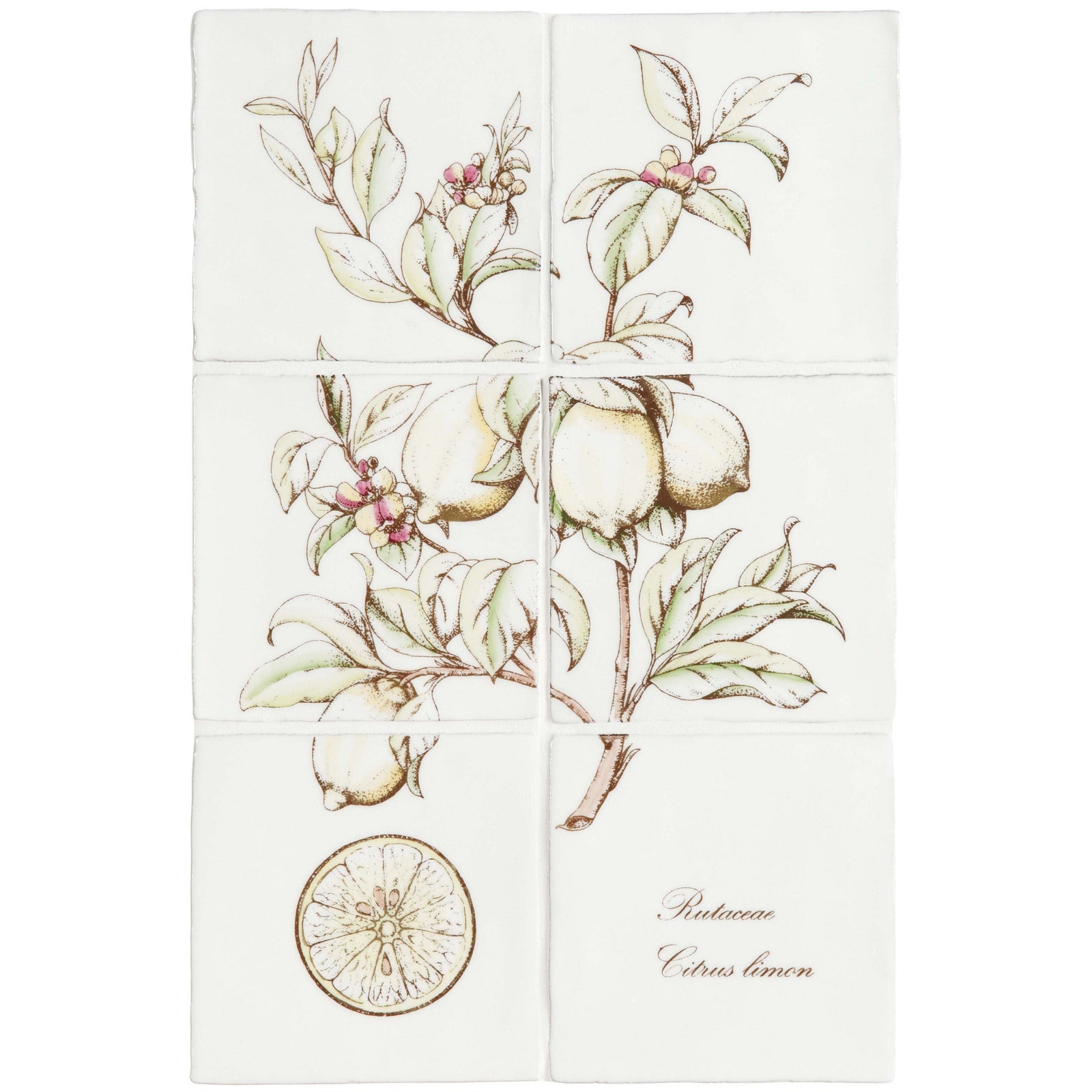 Lemon Decorative 6-Tile Set On Cotton