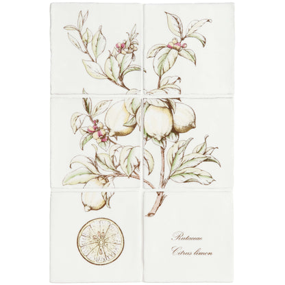 Lemon Decorative 6-Tile Set On Cotton