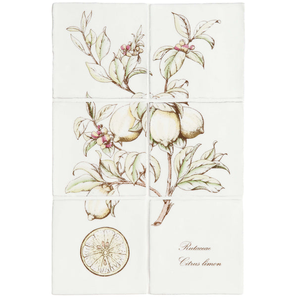 Lemon Decorative 6-Tile Set On Cotton
