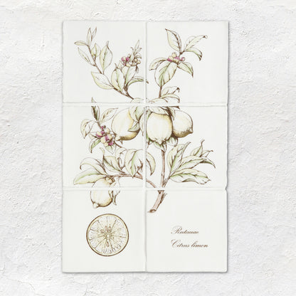 Lemon Decorative 6-Tile Set On Cotton – detail view 2