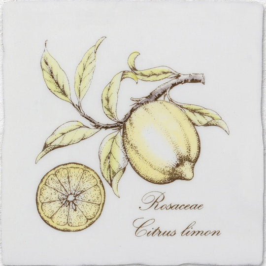 Lemon Decorative Tile Sepia On Cotton