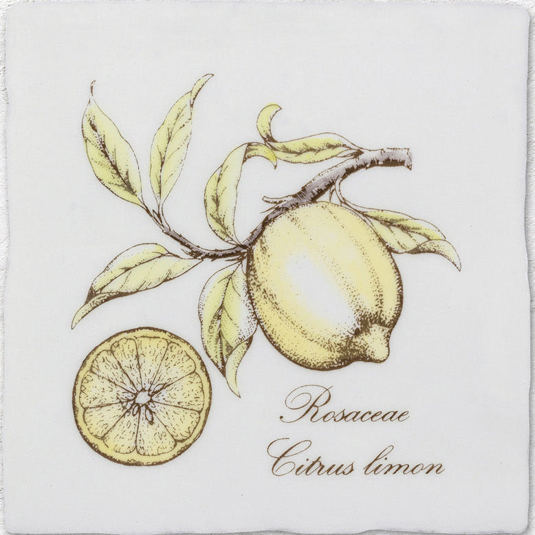 Lemon Decorative Tile Sepia On Cotton