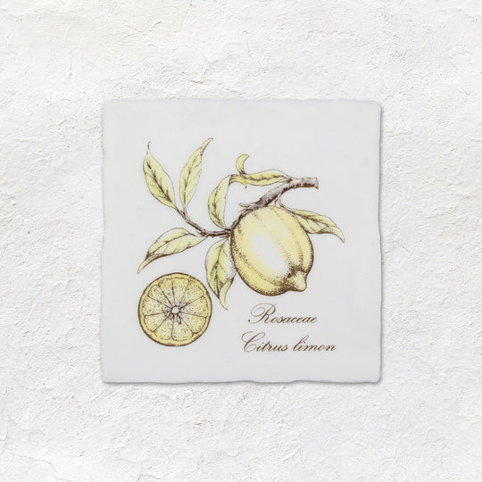 Lemon Decorative Tile Sepia On Cotton - alternate view