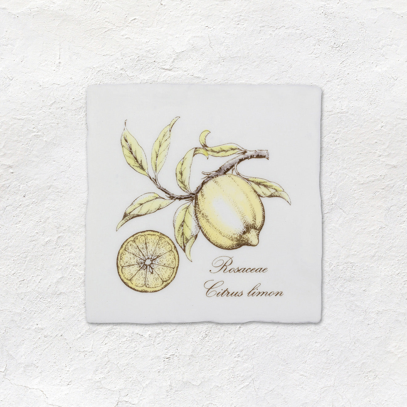 Lemon Decorative Tile Sepia On Cotton – detail view 2