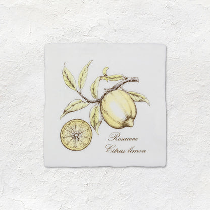 Lemon Decorative Tile Sepia On Cotton – detail view 2