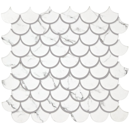 Scallop White