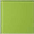 Mohaka Clear Glass 10 x 10cm Wall Tile