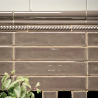 Brown glossy ceramic subway tiles with a decorative rope border and a white tile backsplash above, with a green plant leaf in the lower left corner.