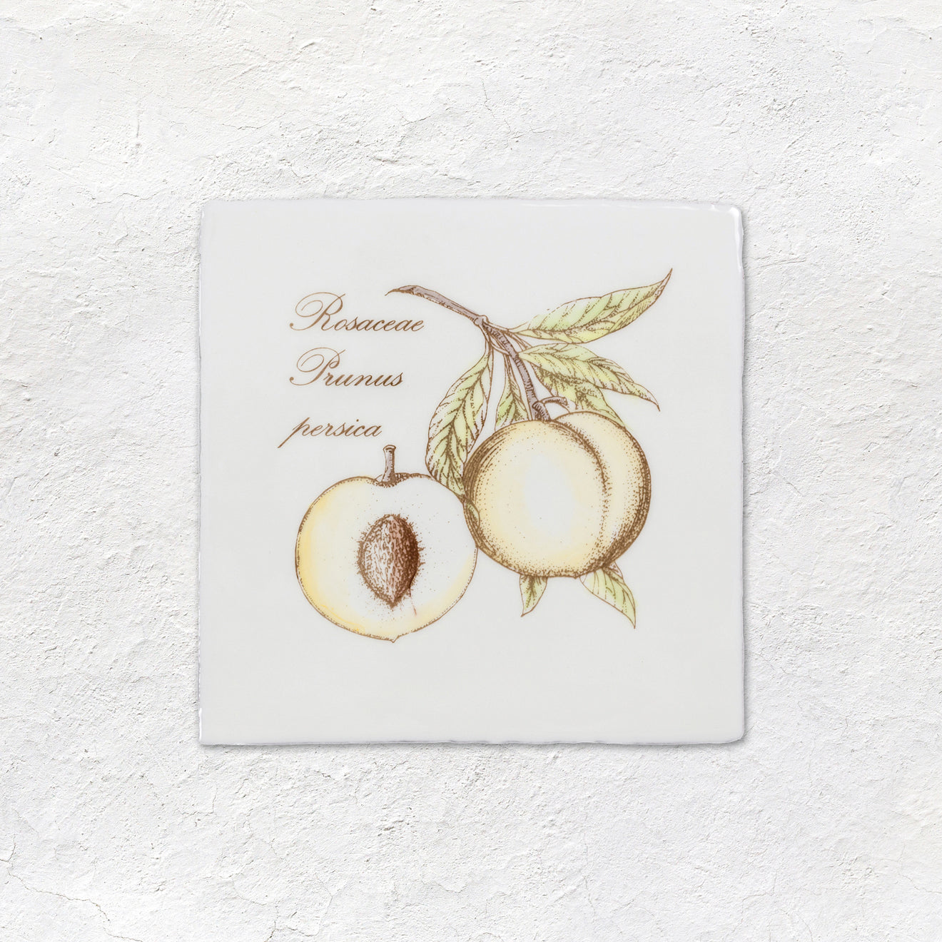 Peach Decorative Tile Sepia On Cotton – detail view 2