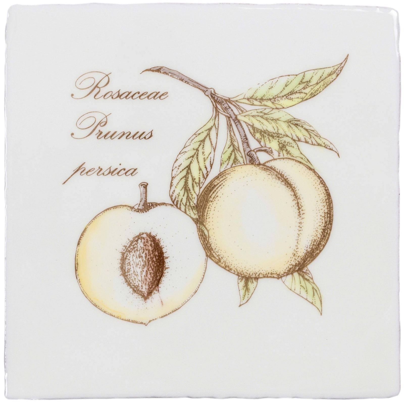 Peach Decorative Tile Sepia On Cotton – detail view 3