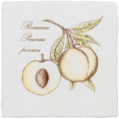 Peach Decorative Tile Sepia On Cotton – detail view 3