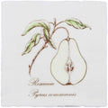 Pear Decorative Tile Sepia On Cotton – detail view 3