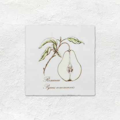 Pear Decorative Tile Sepia On Cotton – detail view 2