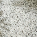 Rialto Porcelain Vert Wall & Floor Tile 60x60cm