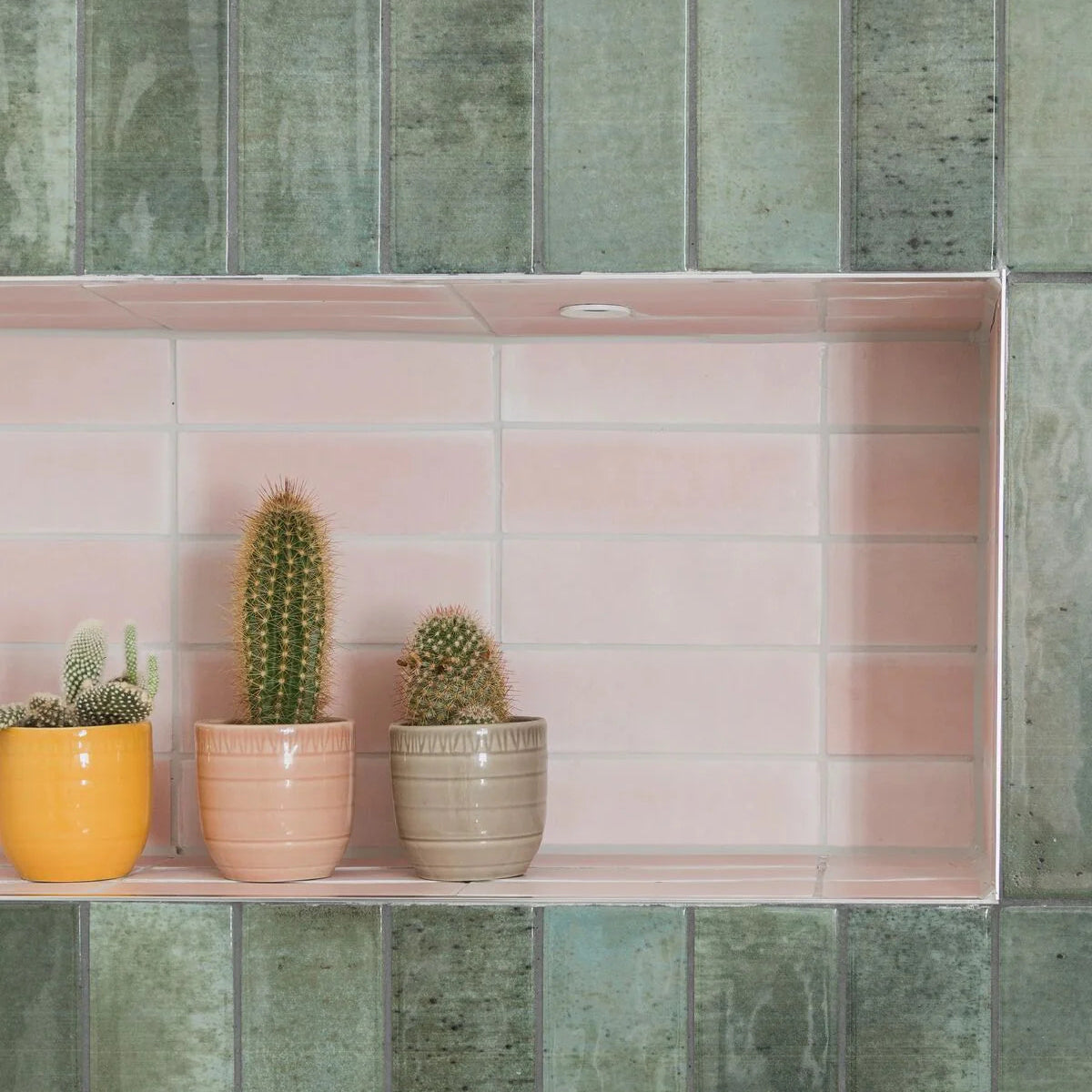Three cacti in pastel ceramic pots yellow peach and beige on a pink tiled shelf featuring south cliff rose brick tile