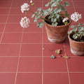 Sanderson Plain Madder Porcelain Wall & Floor Tile 20x20cm