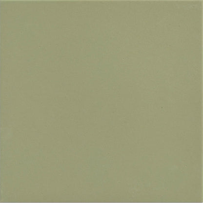 Sanderson Plain Sage Porcelain Wall & Floor Tile 20x20cm