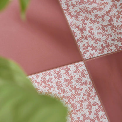Sanderson Plain Madder Porcelain Wall & Floor Tile 20x20cm